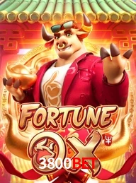 3800BET.COM