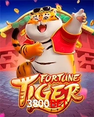 3800BET.COM
